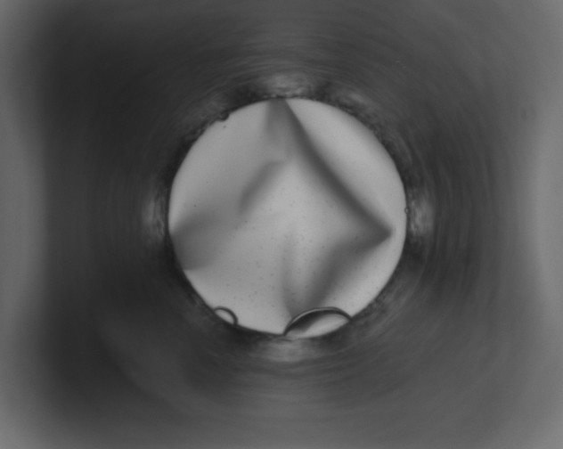 X0000100910666200807151140