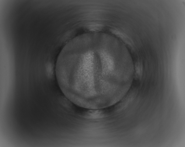 X0000100910667200807151140