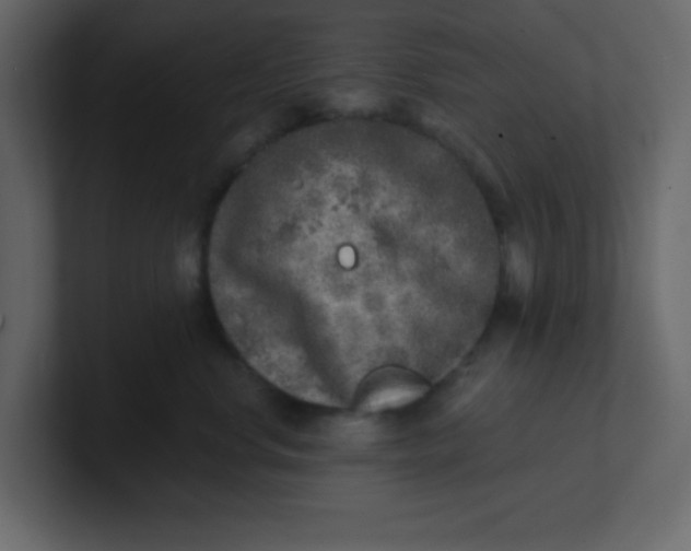 X0000100910668200807151140