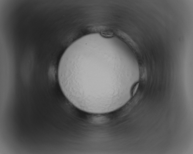 X0000100910669200807151140