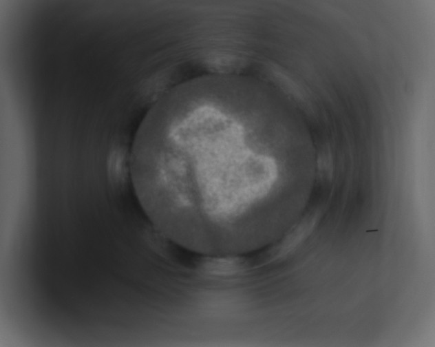 X0000100910671200807151140