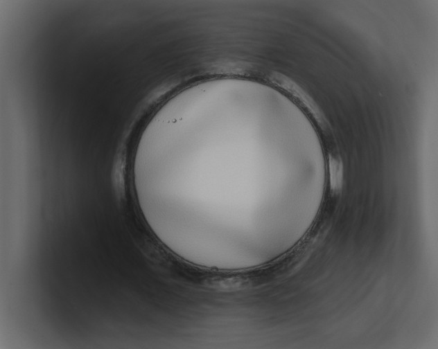 X0000100910675200807151139