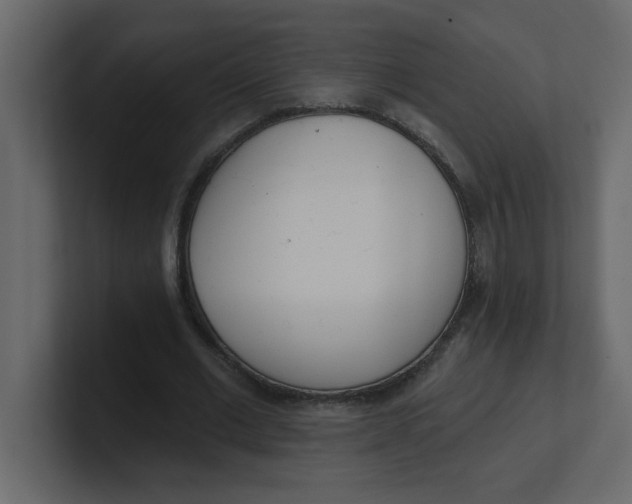 X0000100910677200807151139