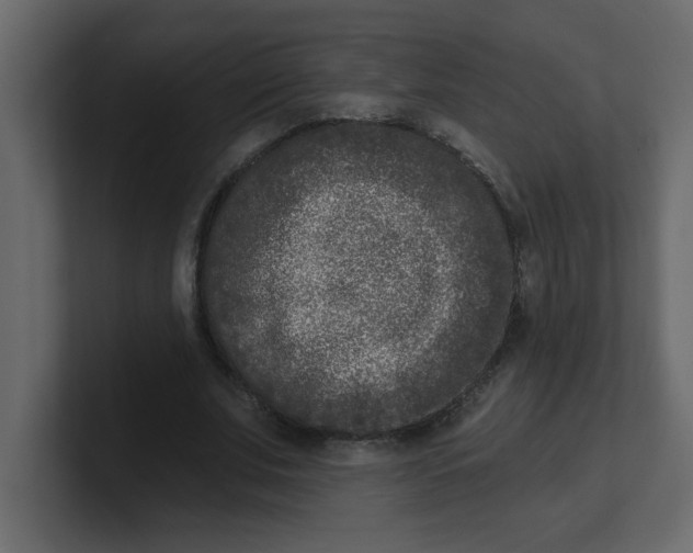 X0000100910679200807151139