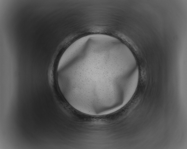 X0000100910682200807151139