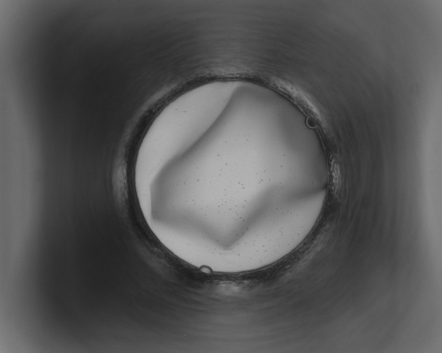 X0000100910684200807151139