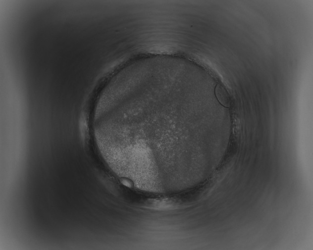 X0000100910688200807151139