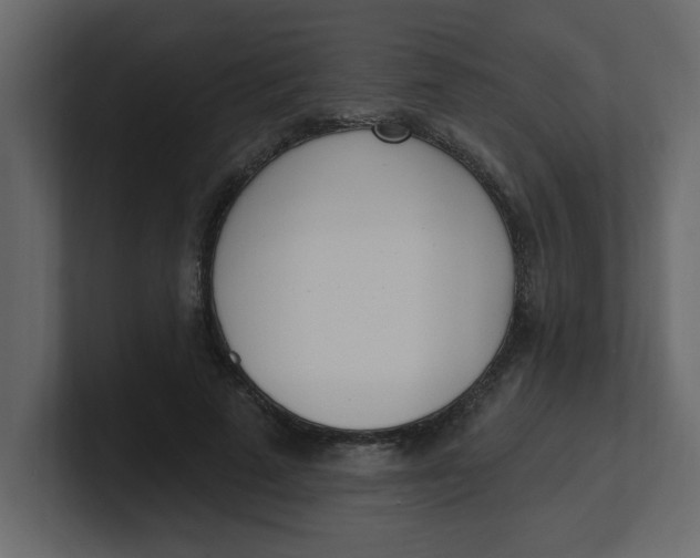 X0000100910689200807151139