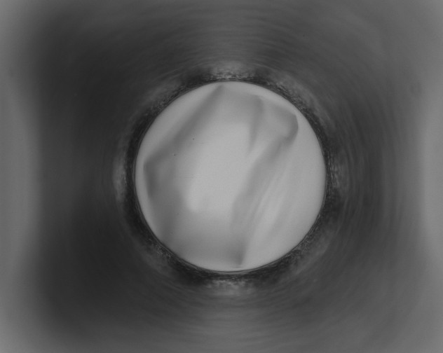 X0000100910690200807151139