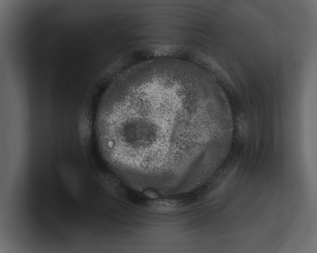 X0000100910691200807151139