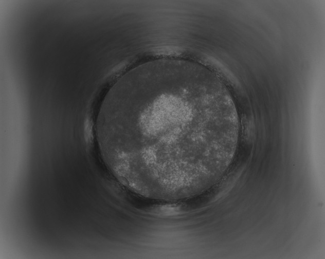 X0000100910692200807151139