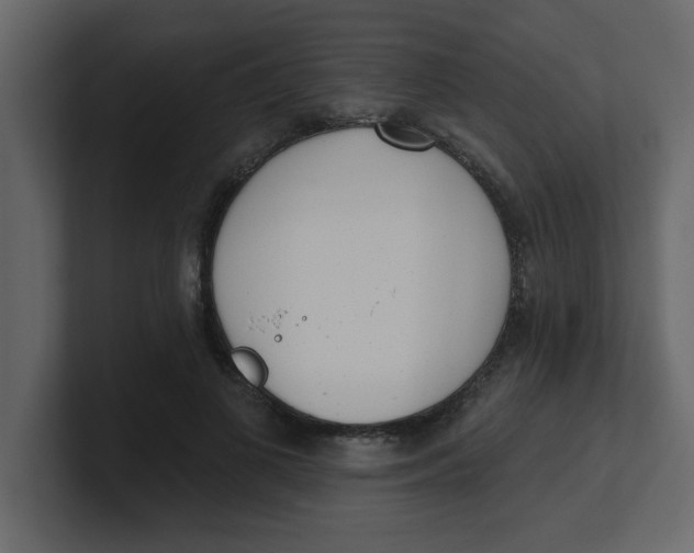 X0000100910693200807151139