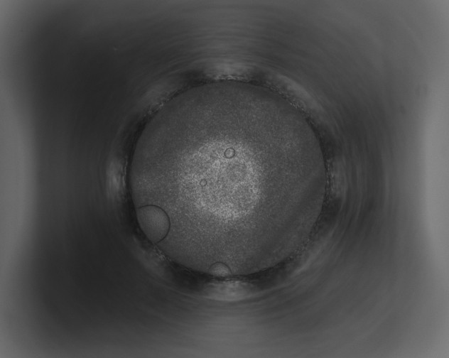 X0000100910695200807151139