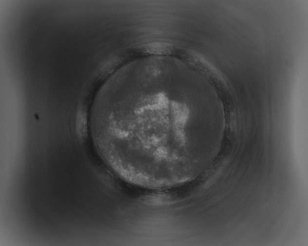 X0000100910696200807151139