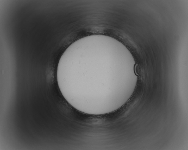 X0000100910697200807151139