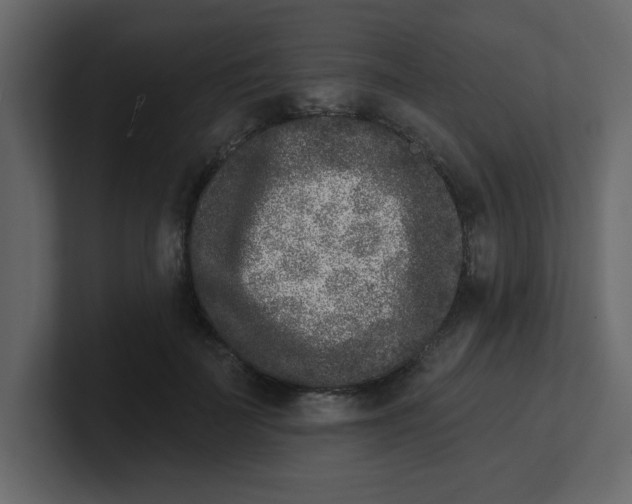 X0000100910699200807151139