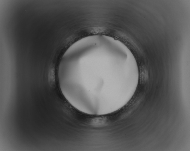 X0000100910700200807151139