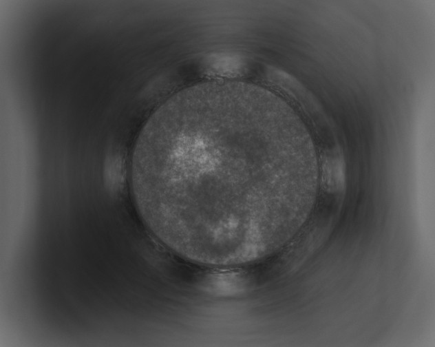 X0000100910701200807151139