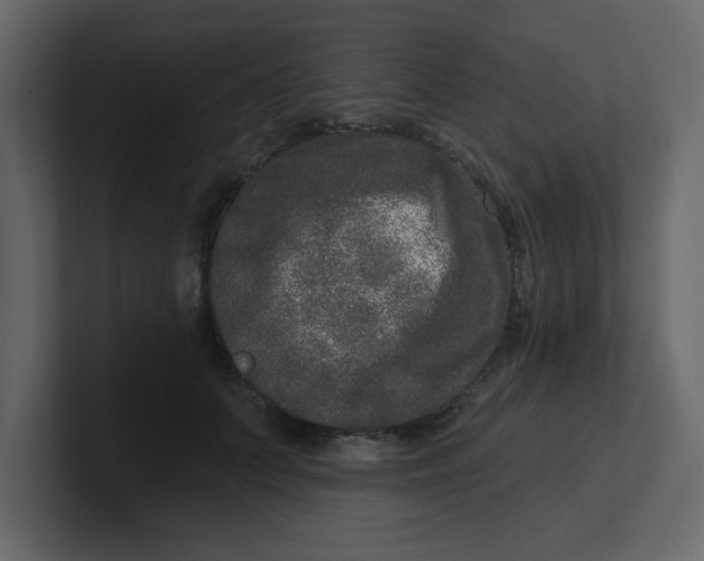 X0000100910703200807151139