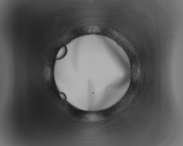 X0000100910704200807151139