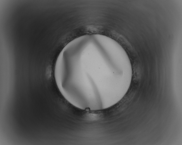 X0000100910706200807151139