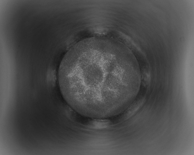 X0000100910707200807151139