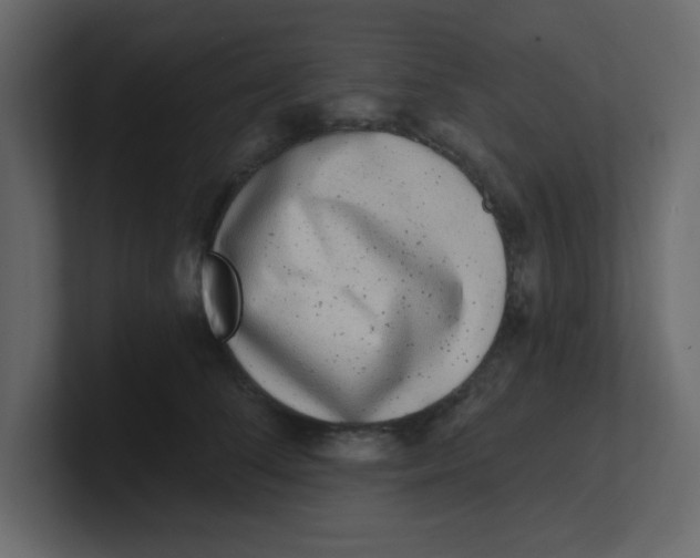 X0000100910708200807151139