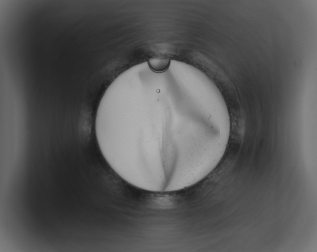 X0000100910710200807151139