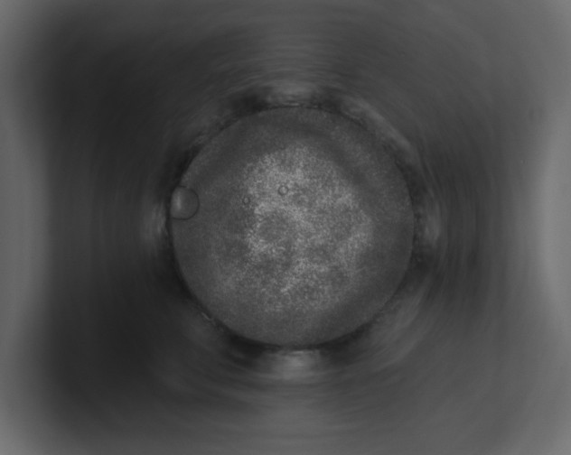 X0000100910711200807151139