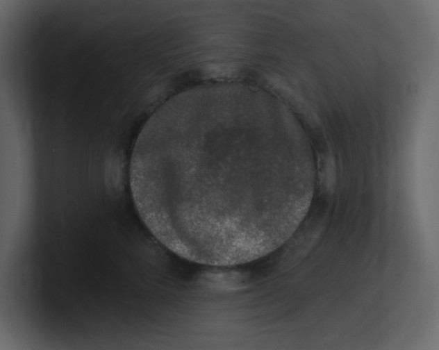 X0000100910712200807151139