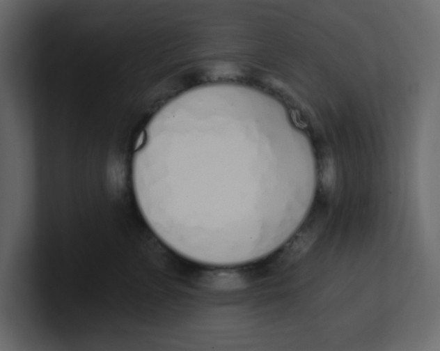 X0000100910715200807151139