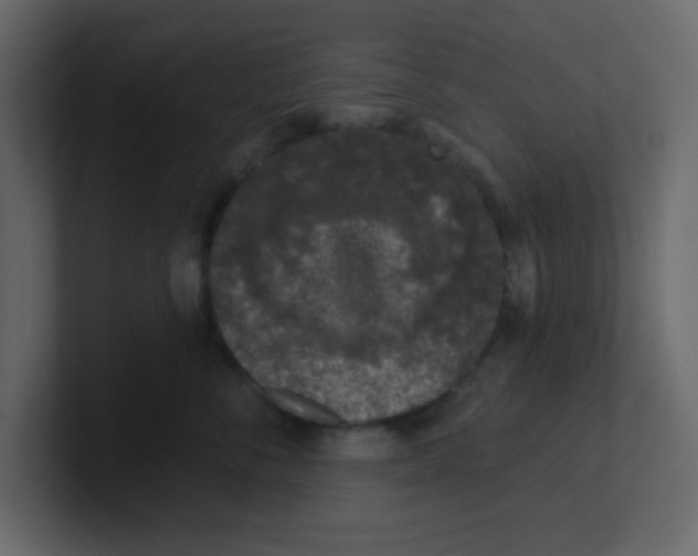 X0000100910716200807151139