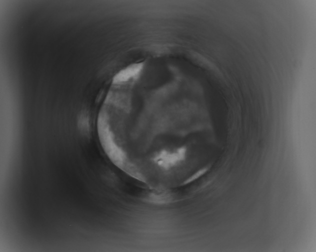 X0000100910720200807151139