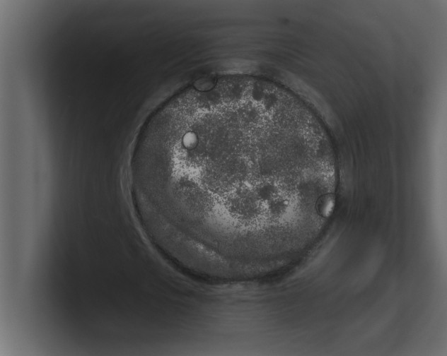 X0000100910721200807151138