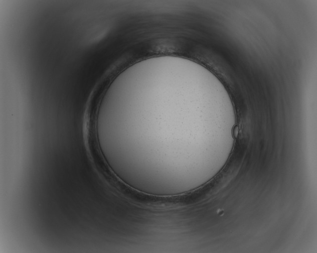 X0000100910722200807151138