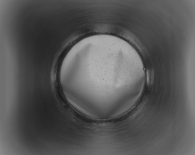 X0000100910723200807151138