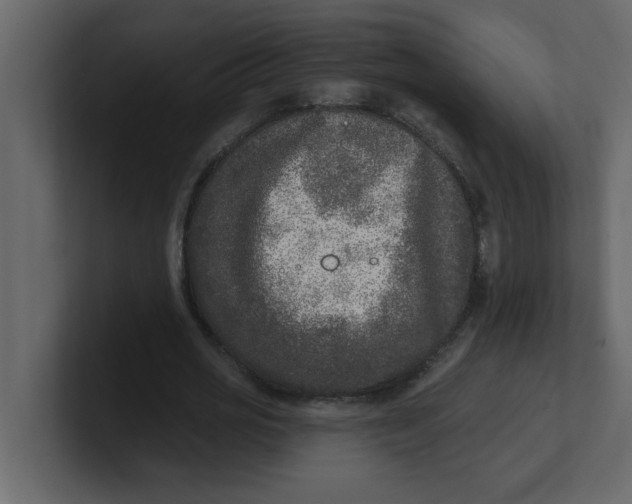 X0000100910725200807151138