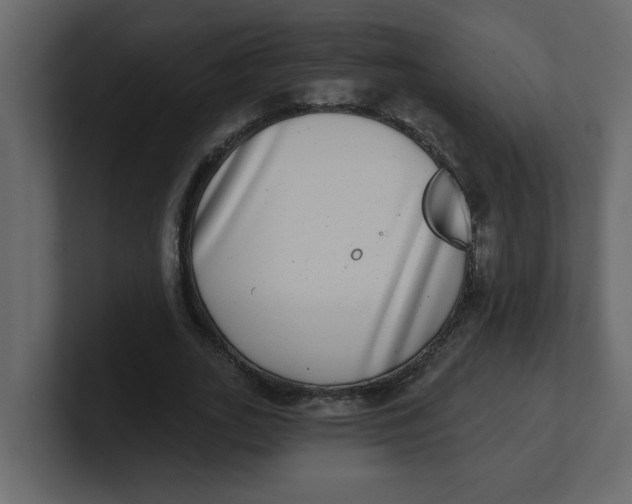 X0000100910727200807151138