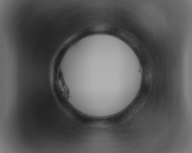 X0000100910728200807151138