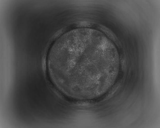 X0000100910729200807151138