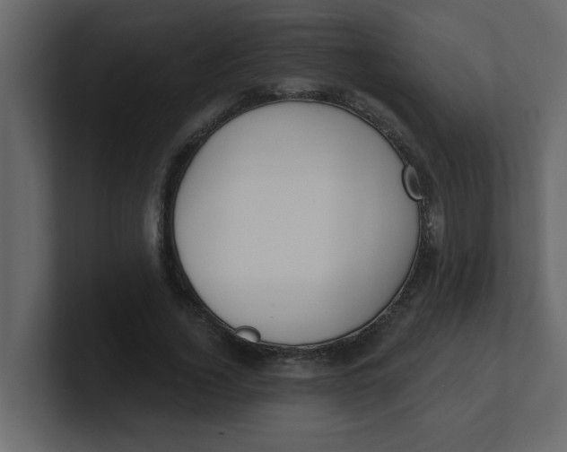 X0000100910732200807151138