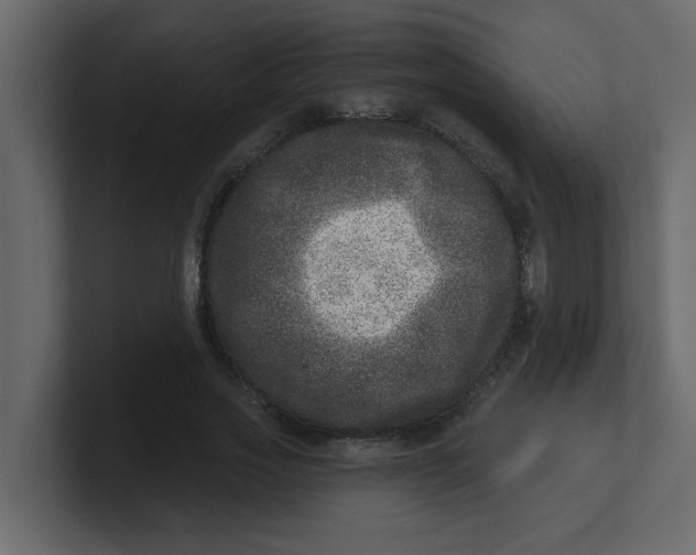 X0000100910733200807151138