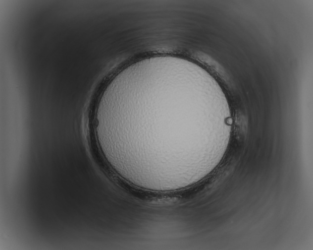 X0000100910734200807151138