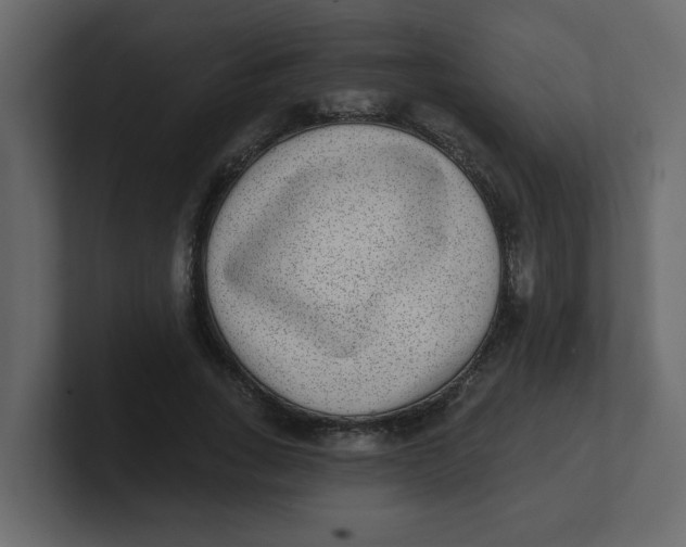 X0000100910735200807151138