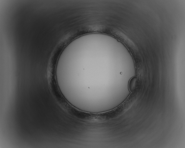 X0000100910736200807151138