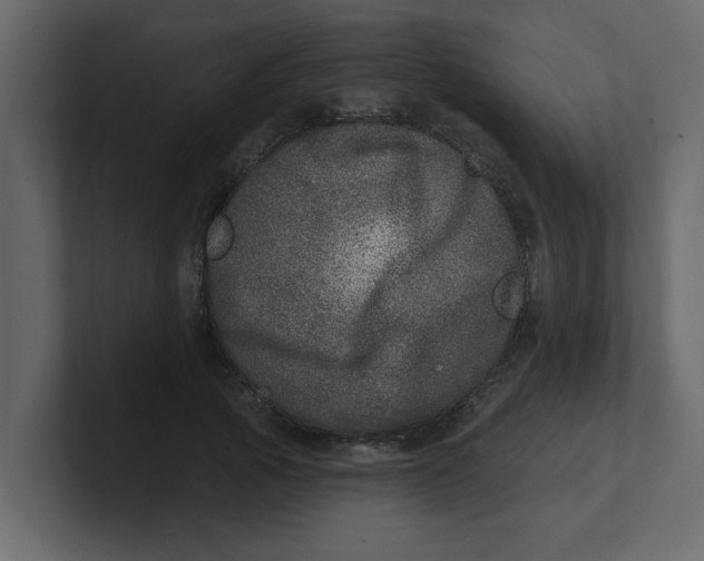 X0000100910737200807151138