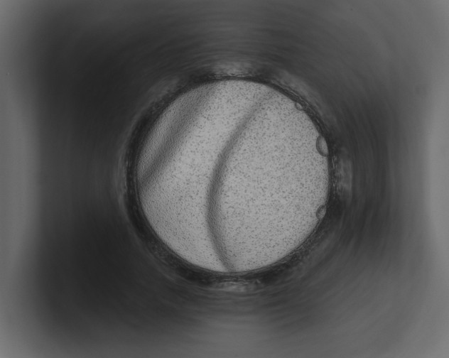 X0000100910738200807151138