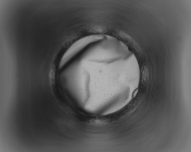 X0000100910739200807151138