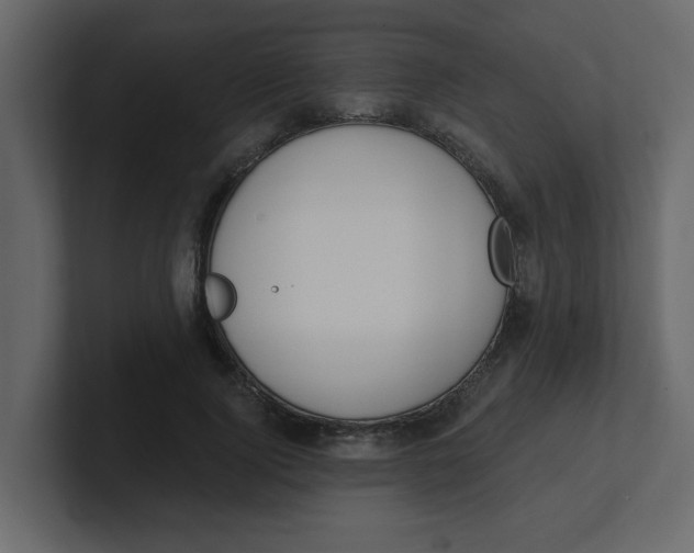 X0000100910740200807151138