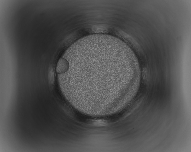 X0000100910741200807151138